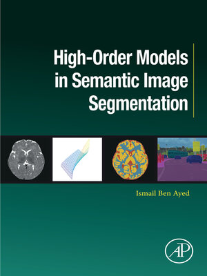 cover image of High-Order Models in Semantic Image Segmentation